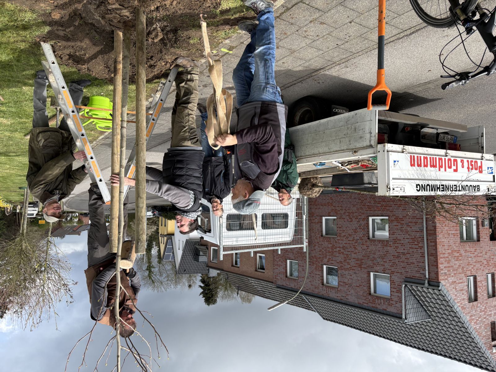 Pflanzung von zwei Bäumen in Pesch – Foto 1